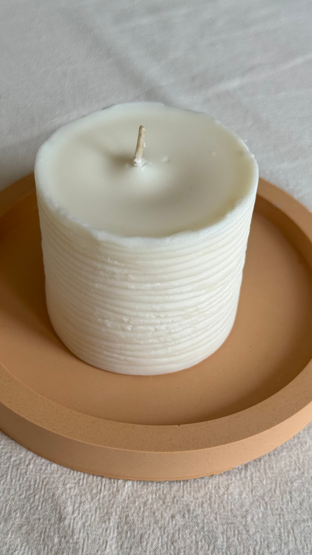 Timeless Library | Leather & Plum Refill Candle